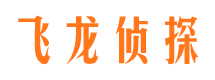 北湖侦探调查公司